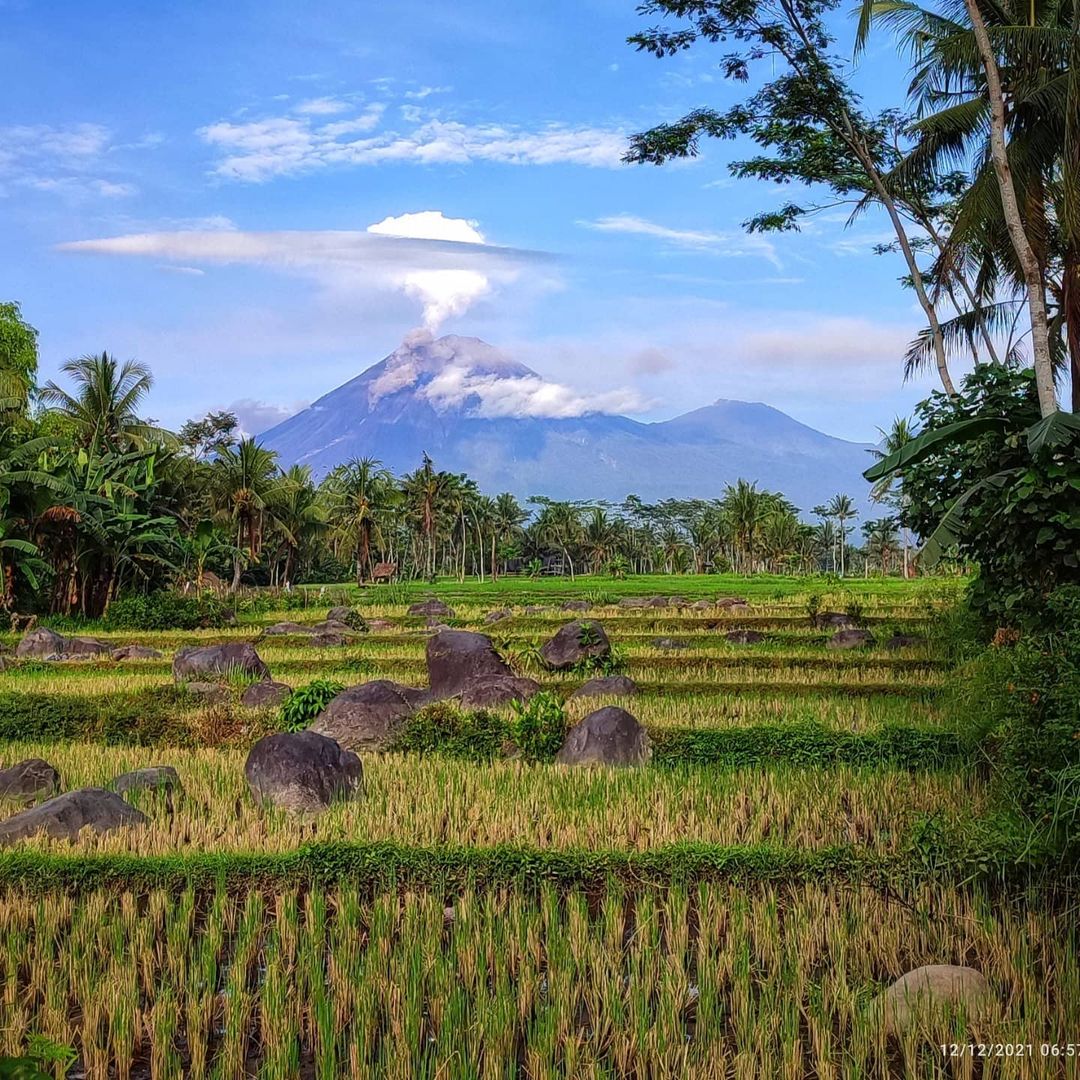 Erupsi Semeru dan Ketundukan pada-Nya