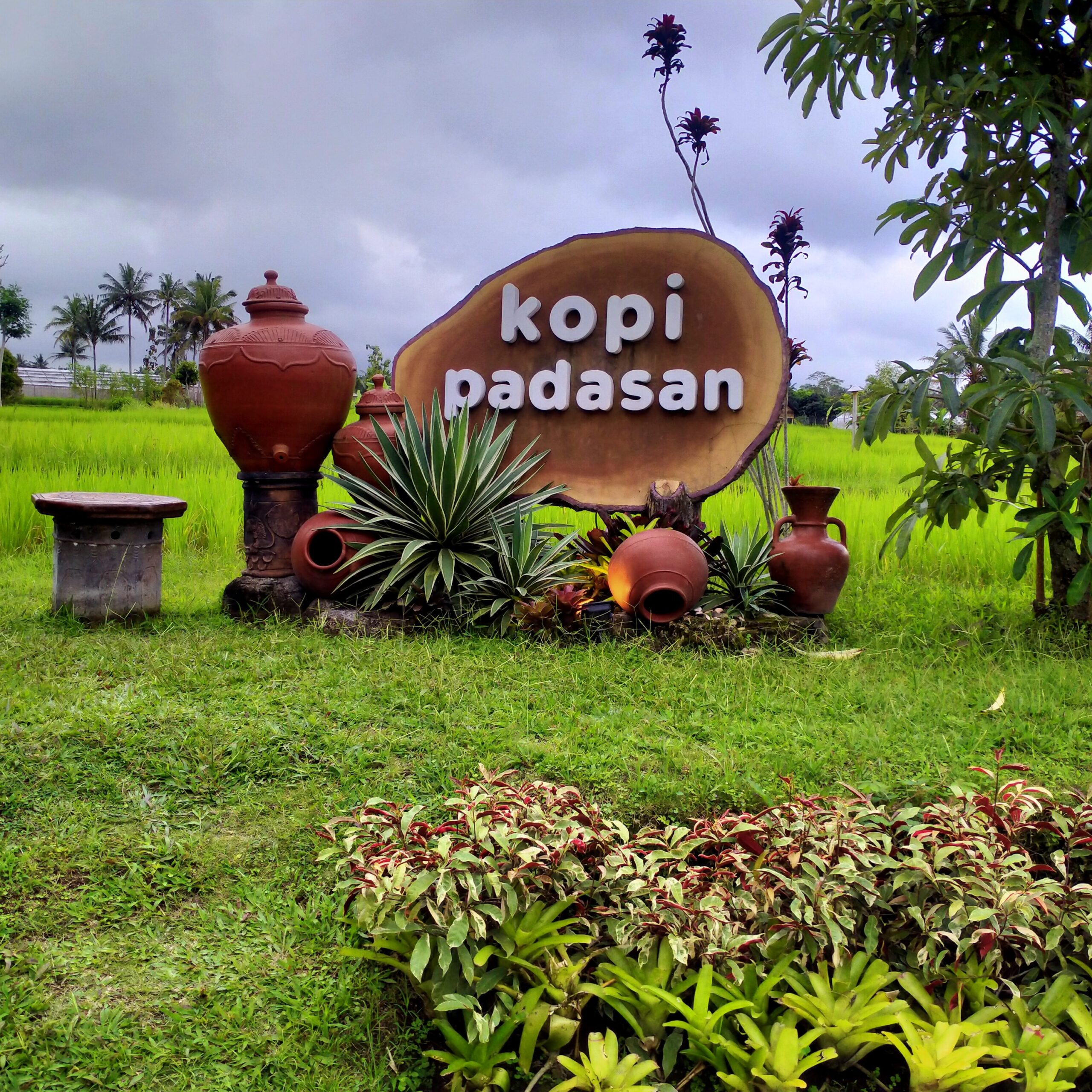 Menikmati Sore yang Syahdu di Kopi Padasan